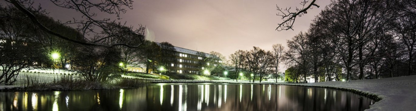 Universitetsparken om natten