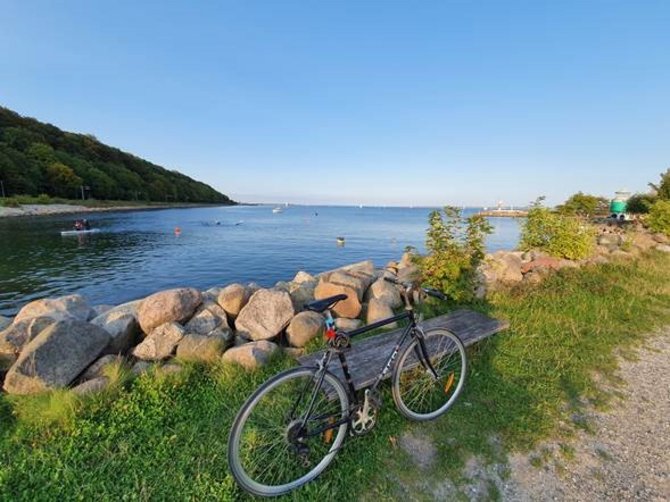 Biking during the long summer days along my favorite bike path in-between Risskov forest and the sea.