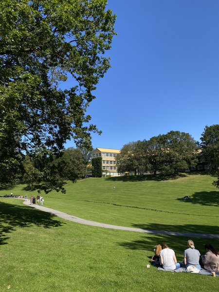 The University Park at Aarhus University.