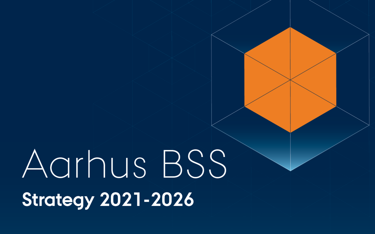 Aarhus BSS strategy